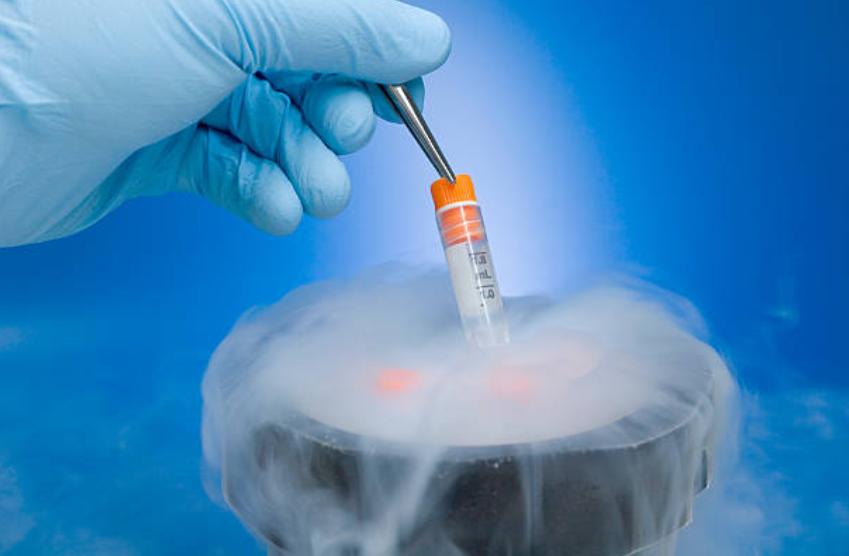 How Does Frozen Embryo Transfer Due Date Calculator Work